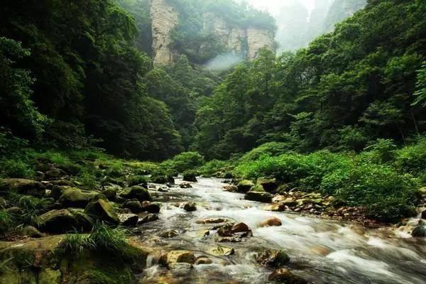qq登录拼多多一直让验证怎样解决？游戏画面